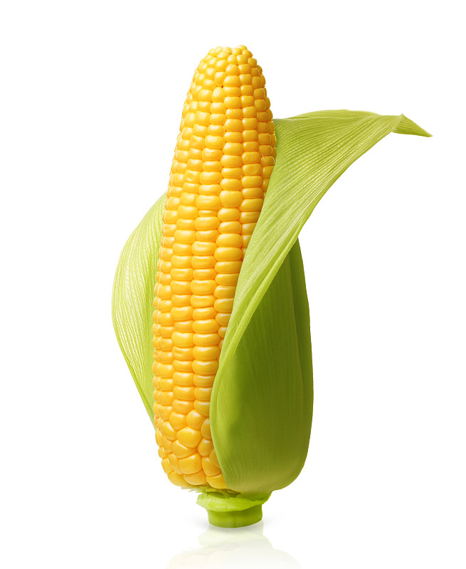 玉米,分离着色,垂直画幅,素食,无人,生食,夏天,白色,植物