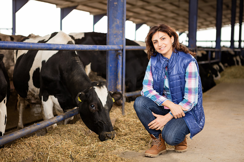 农民,青年女人,牧场主,乳牛场,赫里福牛,牲畜,家牛,母牛,弗里斯兰奶牛,食槽
