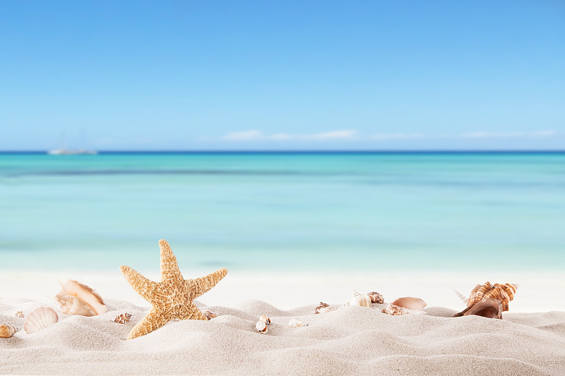 贝壳,夏天,海滩,海星,沙子,海岸线,绿松石色,度假胜地,泻湖,晴朗