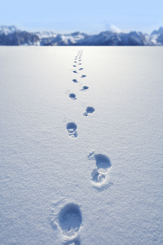 雪,脚印,垂直画幅,爪子,户外,方向,冬天,山,小路,季节