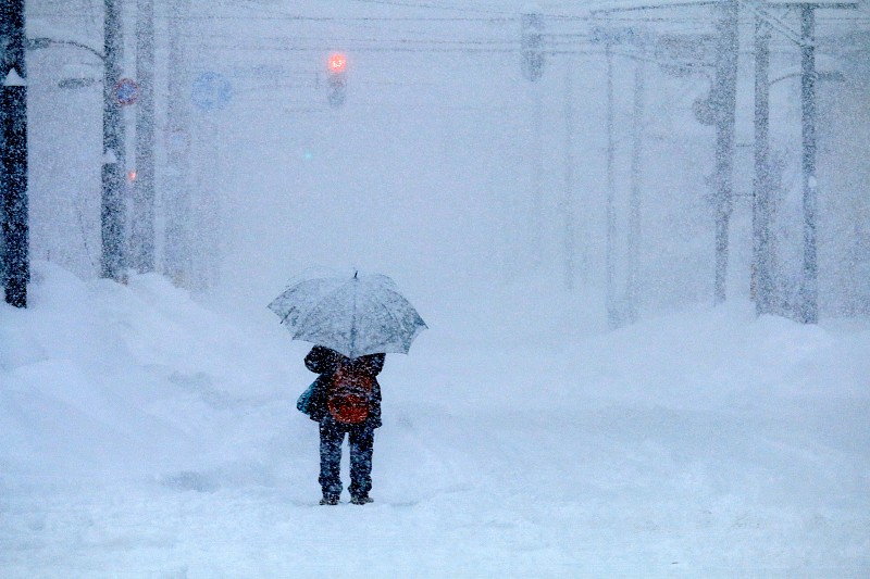 大风雪,女人,旭川,红灯,城镇,电线杆,电力线,雪,伞,电力电缆