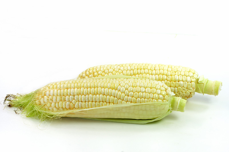 白玉米,日本,高粱,留白,水平画幅,甜玉米,白色背景,玉米,夏天,甜食