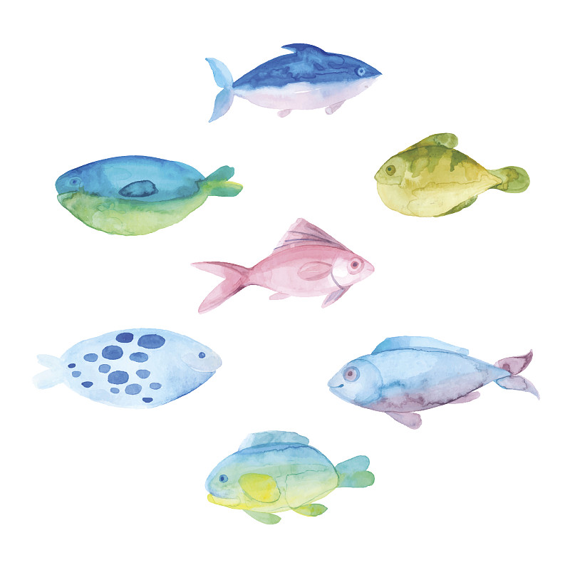 鱼类,水彩画,白色背景,水彩颜料,水彩画颜料,潜水挡板,海洋,水,艺术