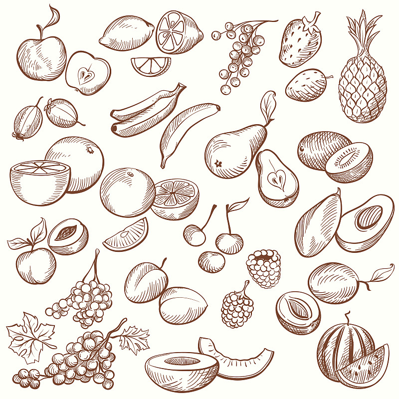 水果,轮廓线画,芒果,,雕刻图像,奇异果-水果,草莓,桃,草图,苹果,橙子