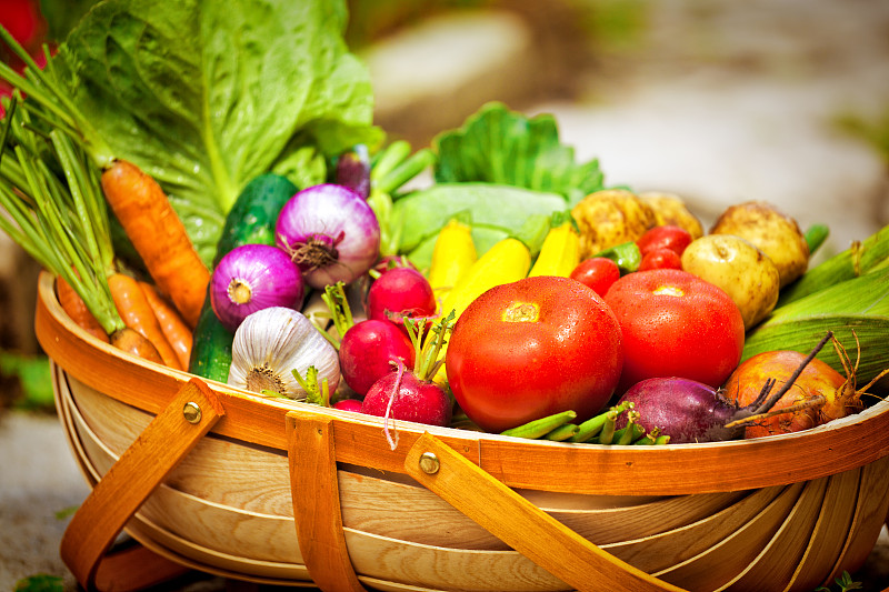 篮子,蔬菜,市场,夏天,农作物,清新,园艺,农业市集,农产品市场,水果