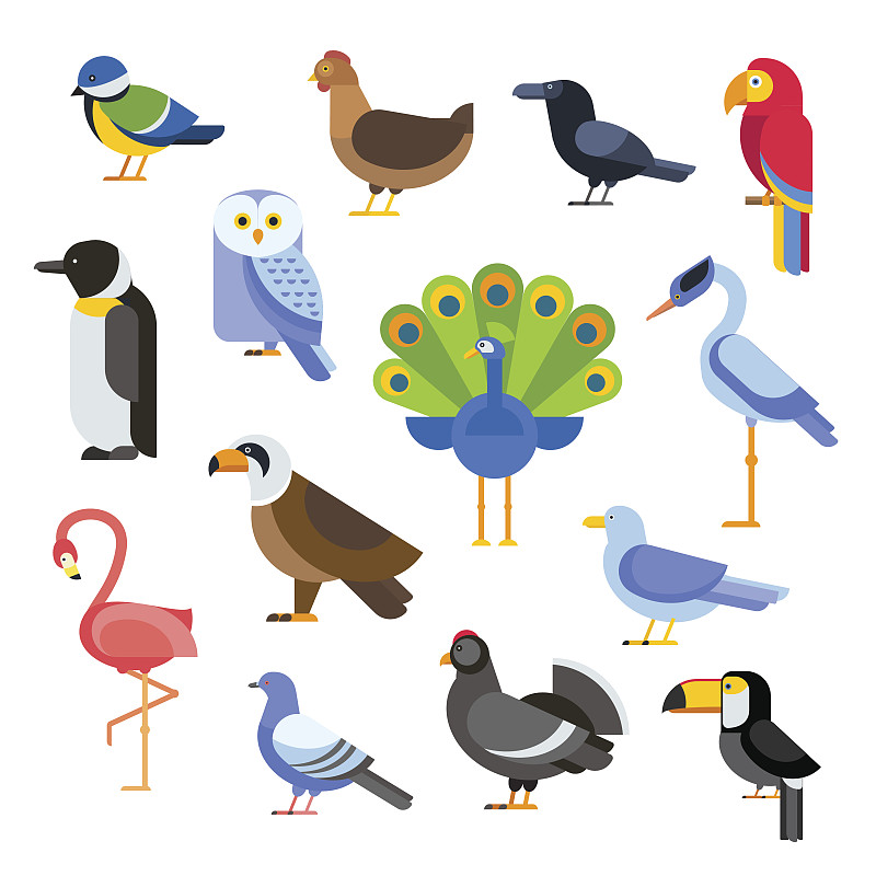 绘画插图,企鹅,矢量,鹦鹉,鸽子,鸟类,巨嘴鸟,性格,动物身体部位,野外动物