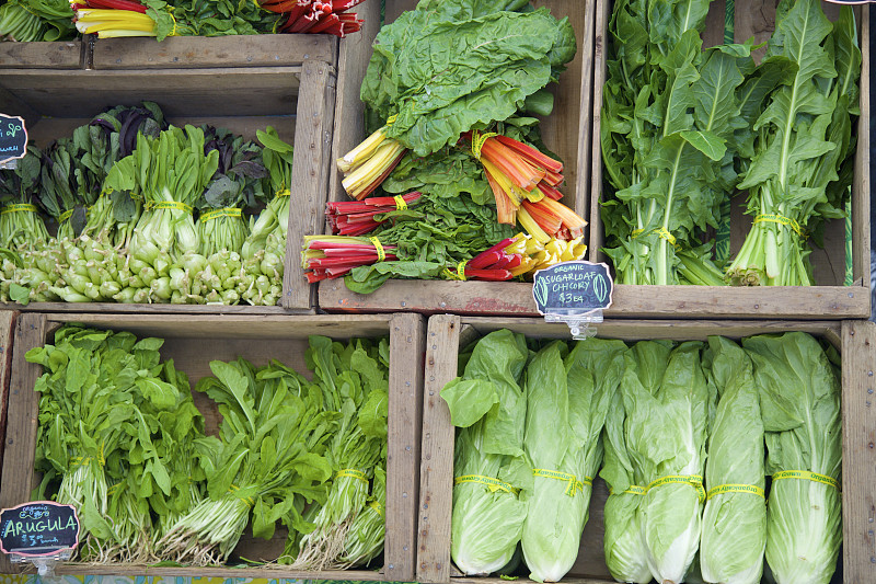 农业市集,蔬菜,蔬菜叶,农产品市场,蒲公英花,油菜,牛皮菜,菊苣,水平画幅,无人