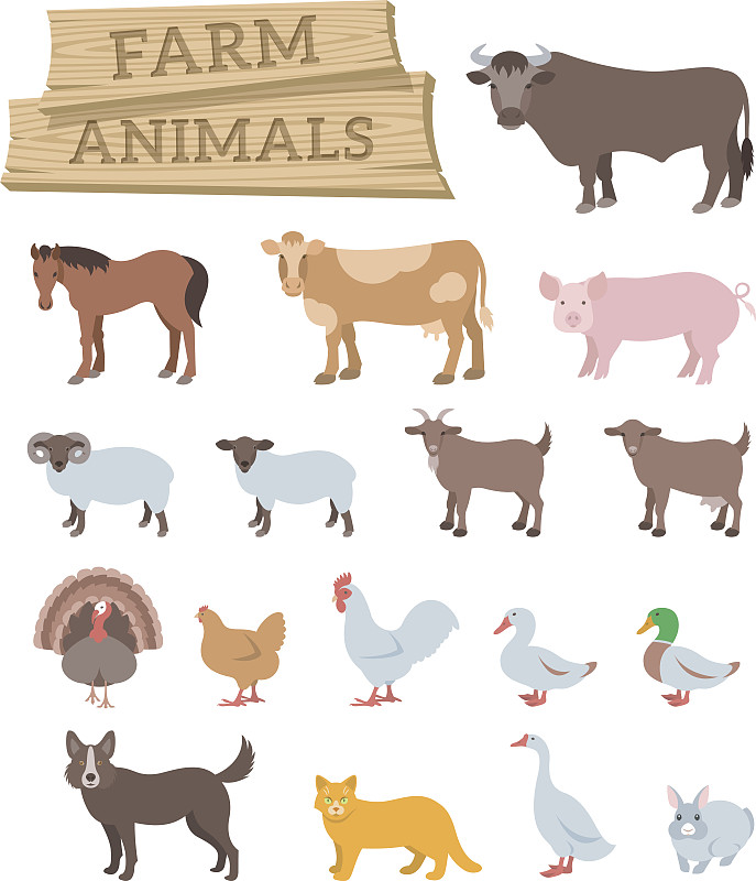 牲畜,平坦的,矢量,家畜,计算机图标,鸭子肉,山羊,鸭子,公羊,羊羔