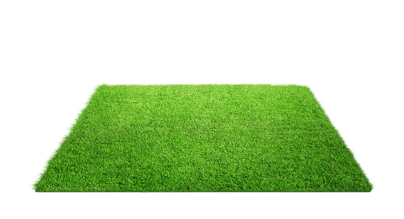 草,地毯,球洞区,草原,橄榄球场,运动场,足球场,草地,美式橄榄球场,草坪