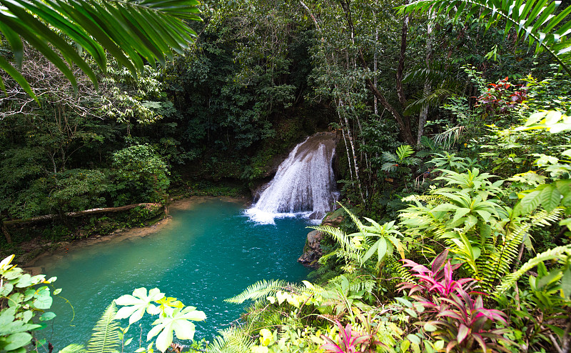 瀑布,牙买加,蓝孔,自然,水,水平画幅,绿色,地形,景观设计,旅行者