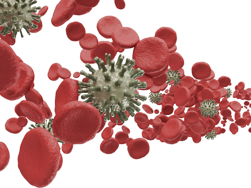 红细胞,白色背景,分离着色,微生物学,人,纳米颗粒,平视角,科学,生物学