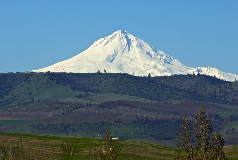 胡德雪山,冰,羽冠山国家森林,卡斯基德山脉,火山,俄勒冈州,俄勒冈郡,自然荒野区,水平画幅,冰河