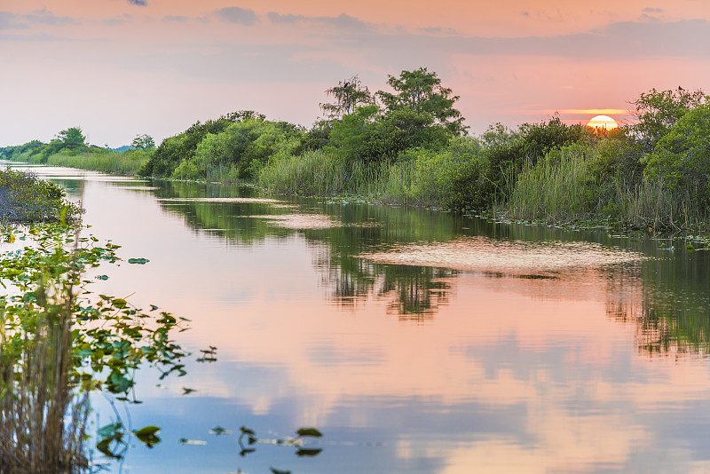 湿地,运河,佛罗里达,地形,水,在上面,自然景观公路,沼泽,微咸水,美