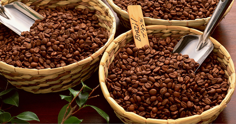咖啡豆,烤咖啡豆,茶树,咖啡生豆,水平画幅,在之后,周末活动,篮子,饮料,咖啡