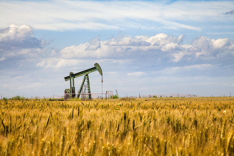 石油,小麦,田地,金色,一只动物,油泵,中央谷地（美）,油井,加利福尼亚,油田