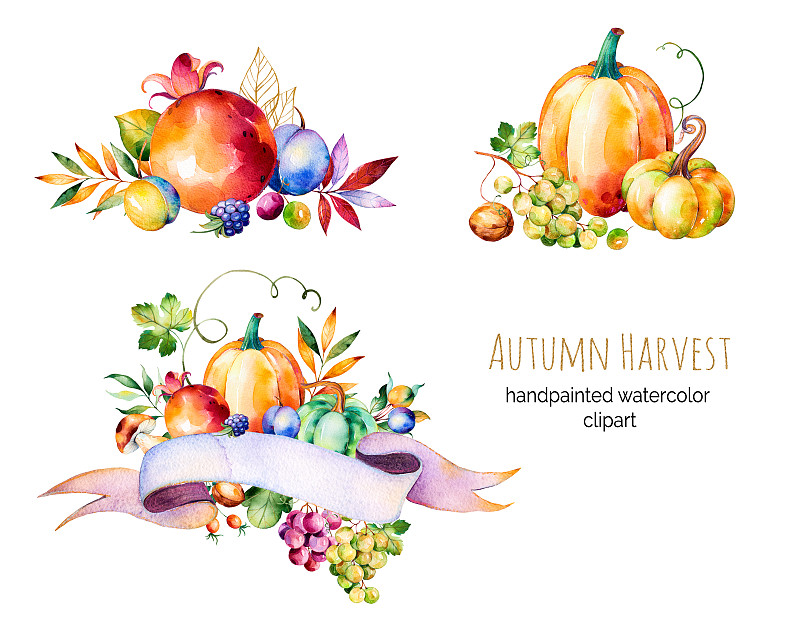黑刺莓,枝,叶子,秋天,色彩鲜艳,浆果,蘑菇,秋季系列,绘画插图,水平画幅