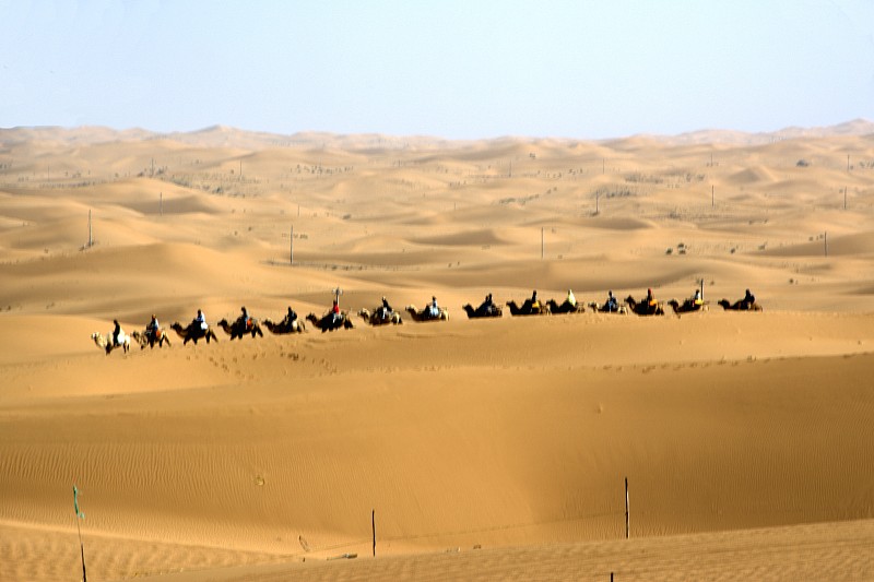 内蒙古自治区,骆驼,腾格里沙漠,宁夏回族自治区,戈壁滩,丘陵起伏地形,天空,水平画幅,沙子,东亚