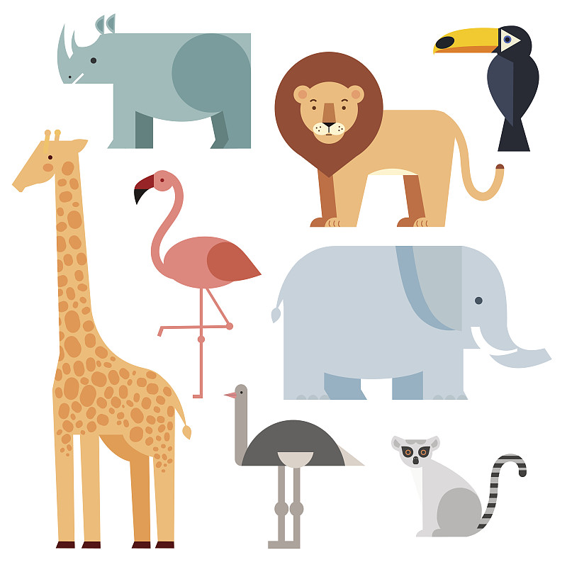 符号,热带雨林,动物,艺术,绘画插图,鸟类,猴子,性格,犀牛,野外动物