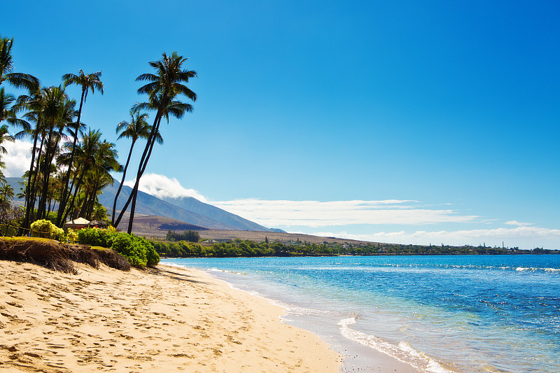 卡阿那帕里,毛伊岛,夏威夷,度假胜地,酒店,卡阿纳帕利沙滩,棕榈树,海滩,天空,留白