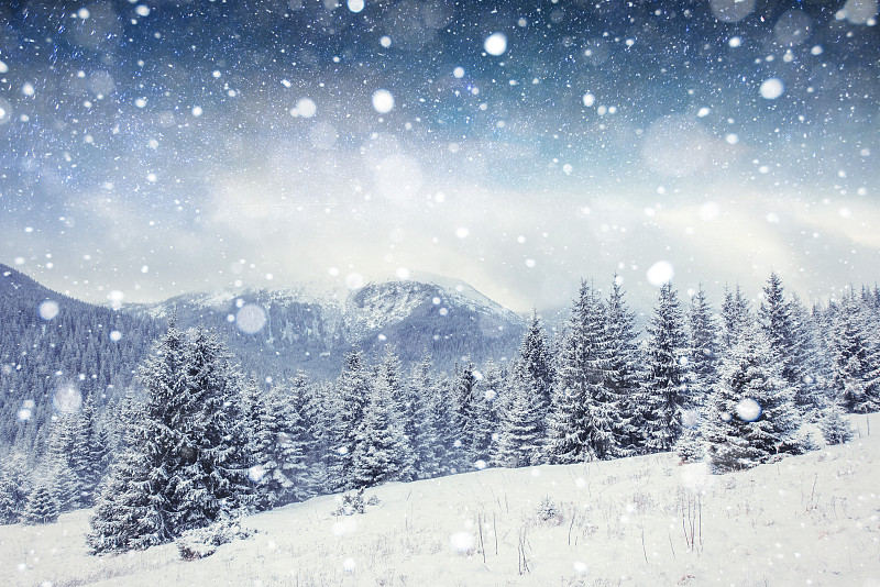 夜晚,雪,冬天,卡帕锡安山脉,欧洲,乌克兰,星系,气候,水平画幅