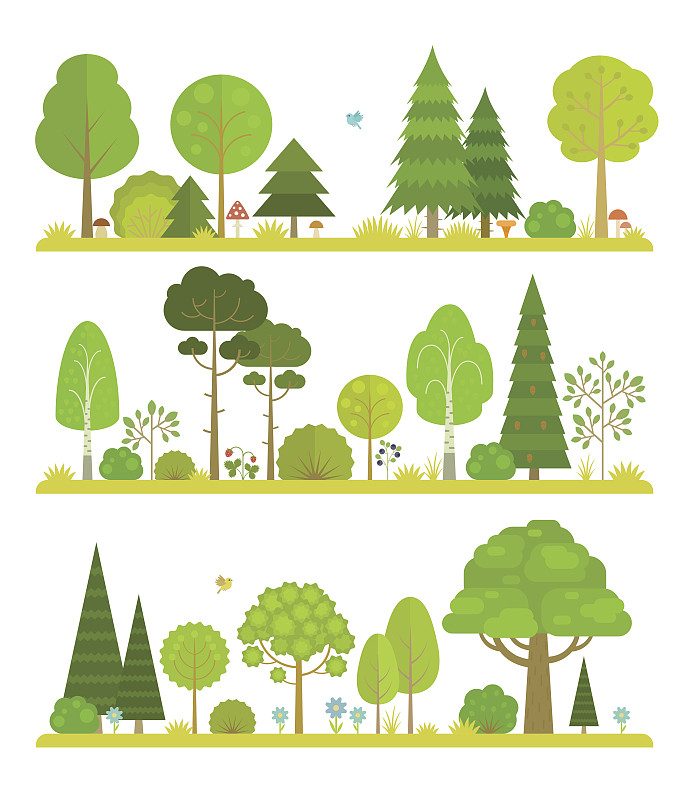 森林,地形,灌木,白杨类,卡通,橡树果,垂直画幅,绘画插图,苔藓,树