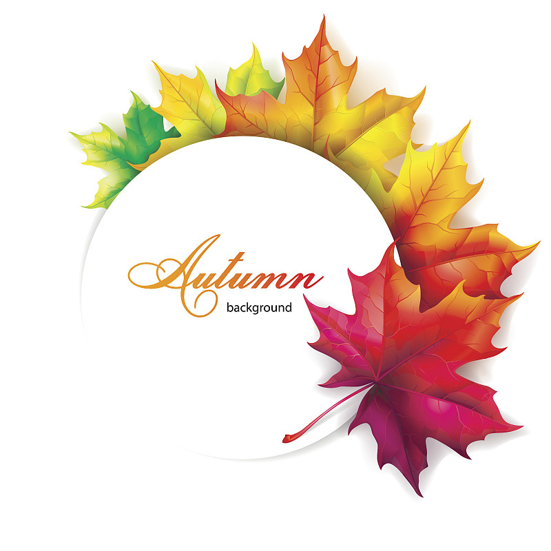 枫树,秋天,叶子,华丽的,美术工艺,信函,橙色,加拿大,色彩鲜艳,自然美