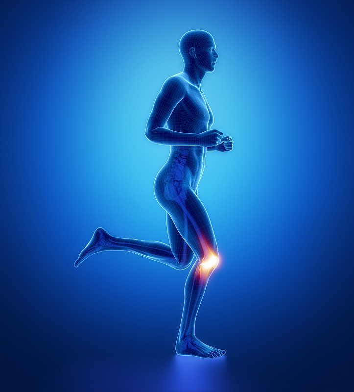 医学扫描,男人,膝,蓝色,慢跑,腿,垂直画幅,韧带,四肢,股骨