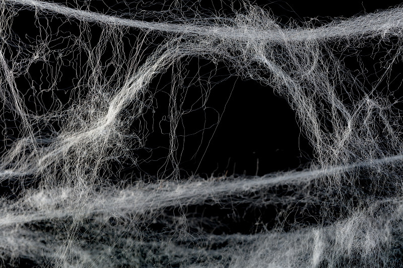 蜘蛛网,黑色,纱布,蜘蛛,网,留白,水平画幅,纹理效果,无人,怪异