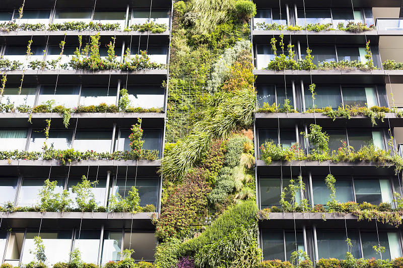 直立式花园,围墙,绿色,悉尼,澳大利亚,公寓,环境保护,墙,阳台