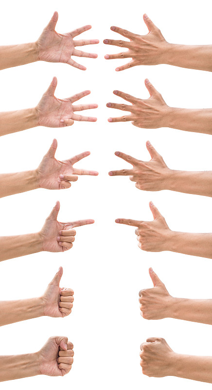 手势语,人,伸出四个手指,数,两根手指,小指,秒针,五个物体,数字4,数字2
