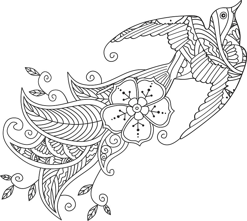 鸟类,轮廓线画,洋葱花,长的,图像,尾巴,绘画插图,美,水平画幅,情绪压力
