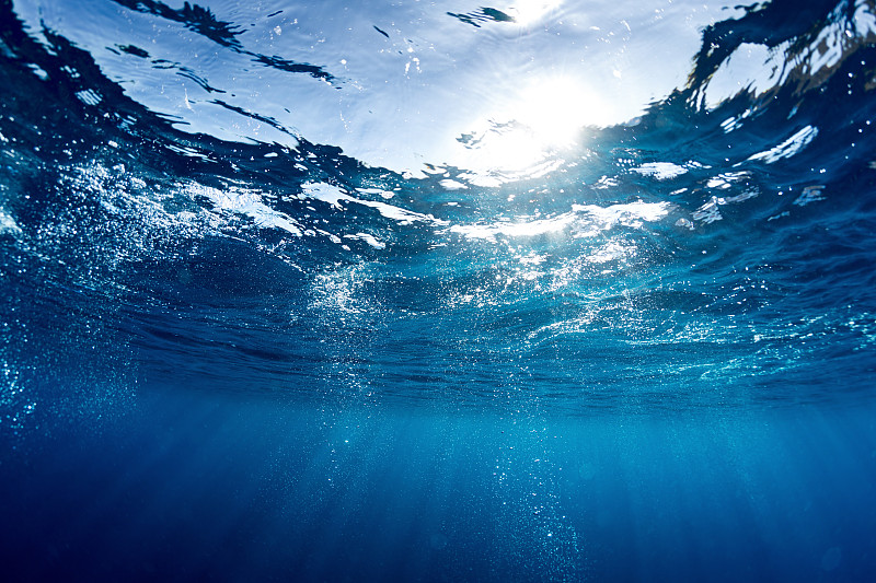 海洋,蓝色,水下,水生动植物,水面,泡泡,平视角,水,透明