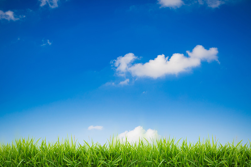 草,天空,绿色,背景,蓝色,抽象,牧场,草坪,平原,枝繁叶茂