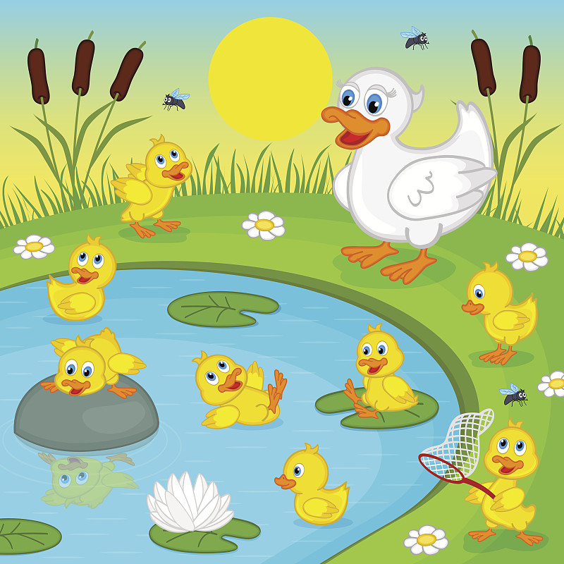 小鸭子,湖,母亲,鸭子,进行中,睡莲,绘画插图,鸟类,性格,夏天