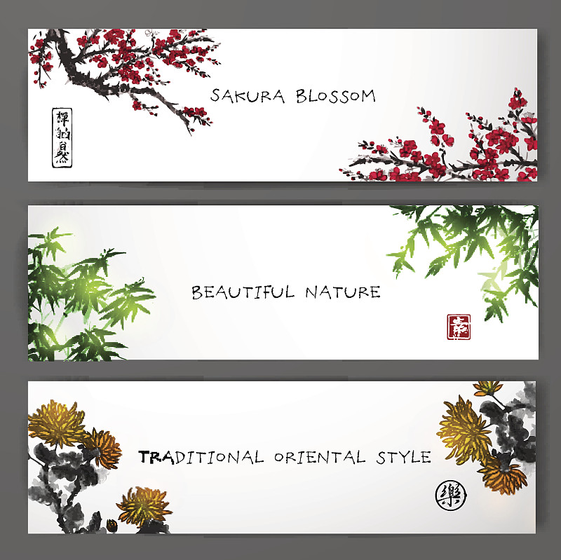 竹,菊花,樱之花,传统,三个物体,花朵,东方人,水彩画颜料,背景分离