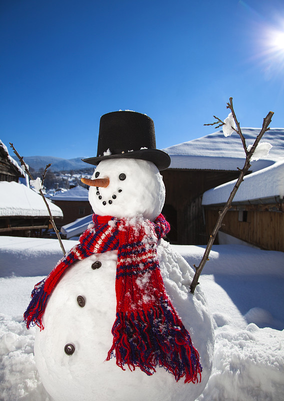 雪人,幸福,大礼帽,雪球,垂直画幅,天空,贺卡,雪,新年,球体