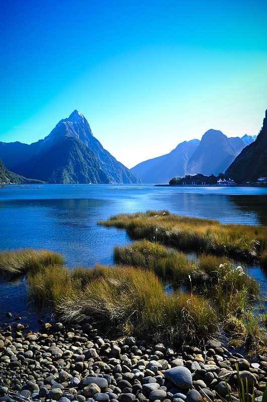湖,新西兰,蒂阿瑙湖,青绿色,自然美,垂直画幅,雪,无人,早晨,户外