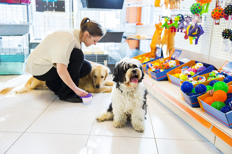 宠物商店,藏獒,金毛寻回犬,可爱的,宠物玩具,狗的玩具,狗外套,英格兰斗牛犬,咀嚼骨,宠物食盘