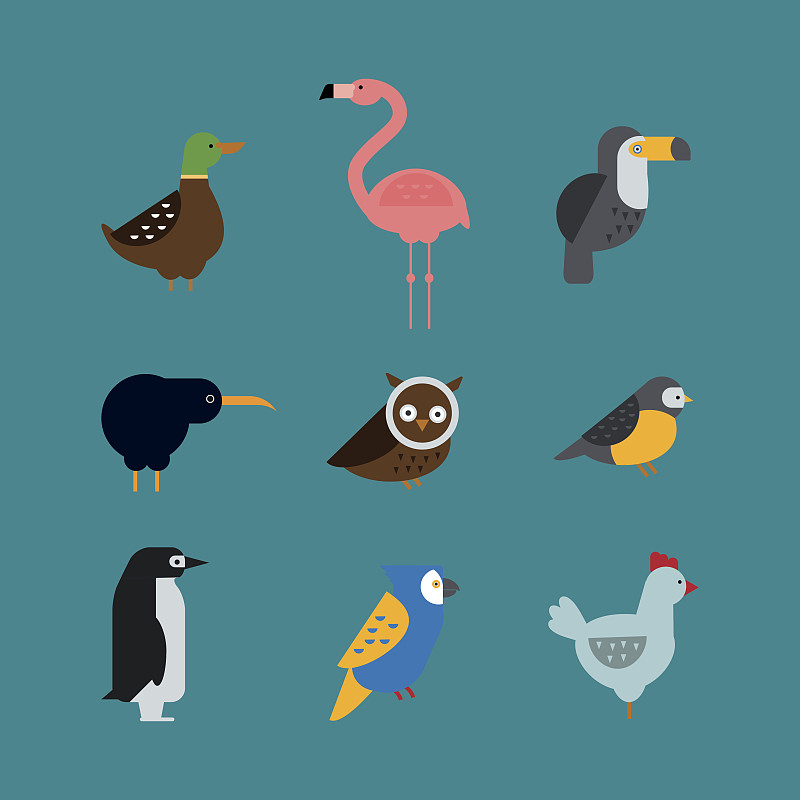鸟类,矢量,绘画插图,分离着色,背景分离,鹬鸵,巨嘴鸟,秋沙鸭,动物,海伦岛