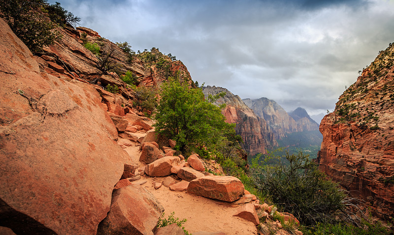 犹他,小路,天使,峡谷,处女河,在边上,徒步旅行,陡峭,高原,尖峰