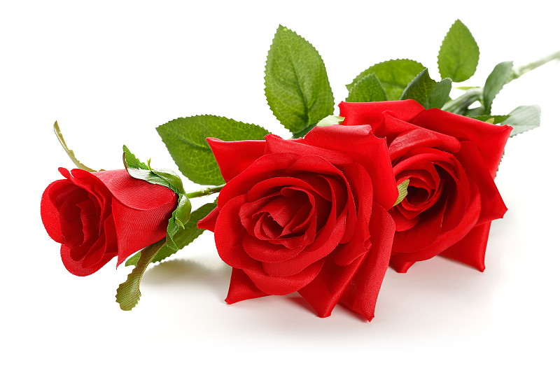玫瑰,红色,人造的,水平画幅,绿色,无人,白色背景,周年纪念,浪漫,背景分离