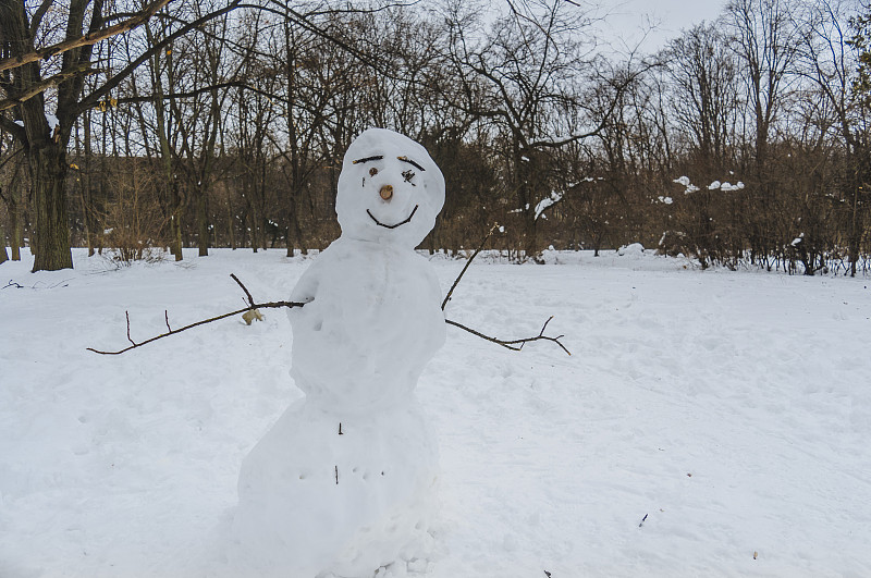 雪人,幸福,春节,新年,天空,胡萝卜,水平画幅,形状,雪