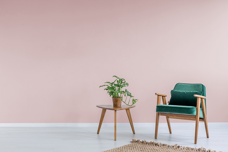 扶手椅,绿色,粉色,住宅房间,留白,新的,灵感,水平画幅,无人,灯