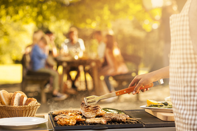 野餐,家庭,准备食物,格子烤肉,烤的,宅度假,猪肉,夏天,肉,红肉