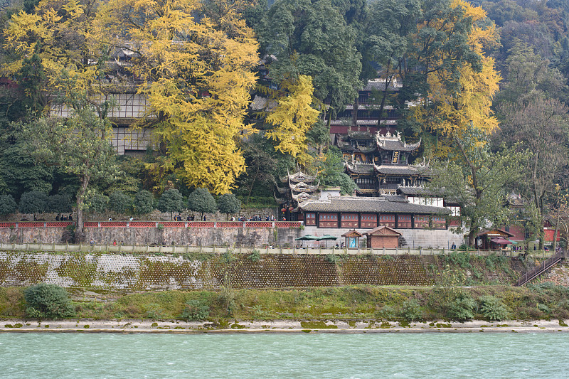 都江堰,,寺庙,秋天,风景,成都,银杏,四川省,旅游目的地,水平画幅,建筑