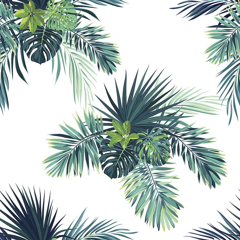 热带植物图案,热带雨林,绿色,矢量,背景,棕榈叶,植物群,菲尼克斯市,鸡尾酒,热带灌木