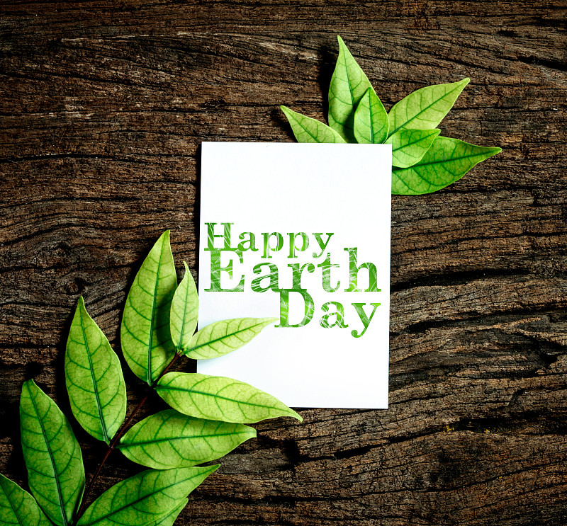 地球日,绿色,叶子,清新,春天,纸,床单,快乐,常春藤,环境保护