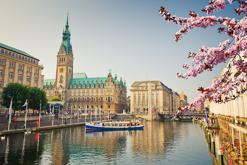 汉堡,市政厅,春天,都市风景,阿尔斯特内湖,阿尔斯特湖,易北河,德国,樱桃树,苹果树