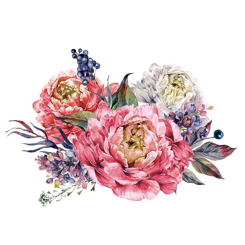 牡丹,丁香花,粉色,花束,水彩画,玫瑰色的,波西米亚风,鲜花盛开,怀旧风格,水彩画颜料