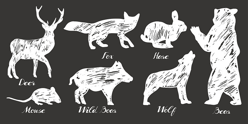 动物,森林,狐狸,熊,公猪,狼,动物园,雕刻图像,兔子,粉笔画